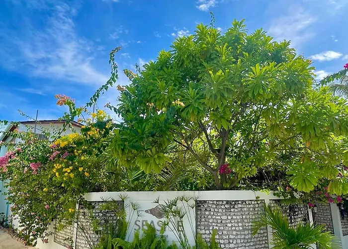 Seaside Dhigurah